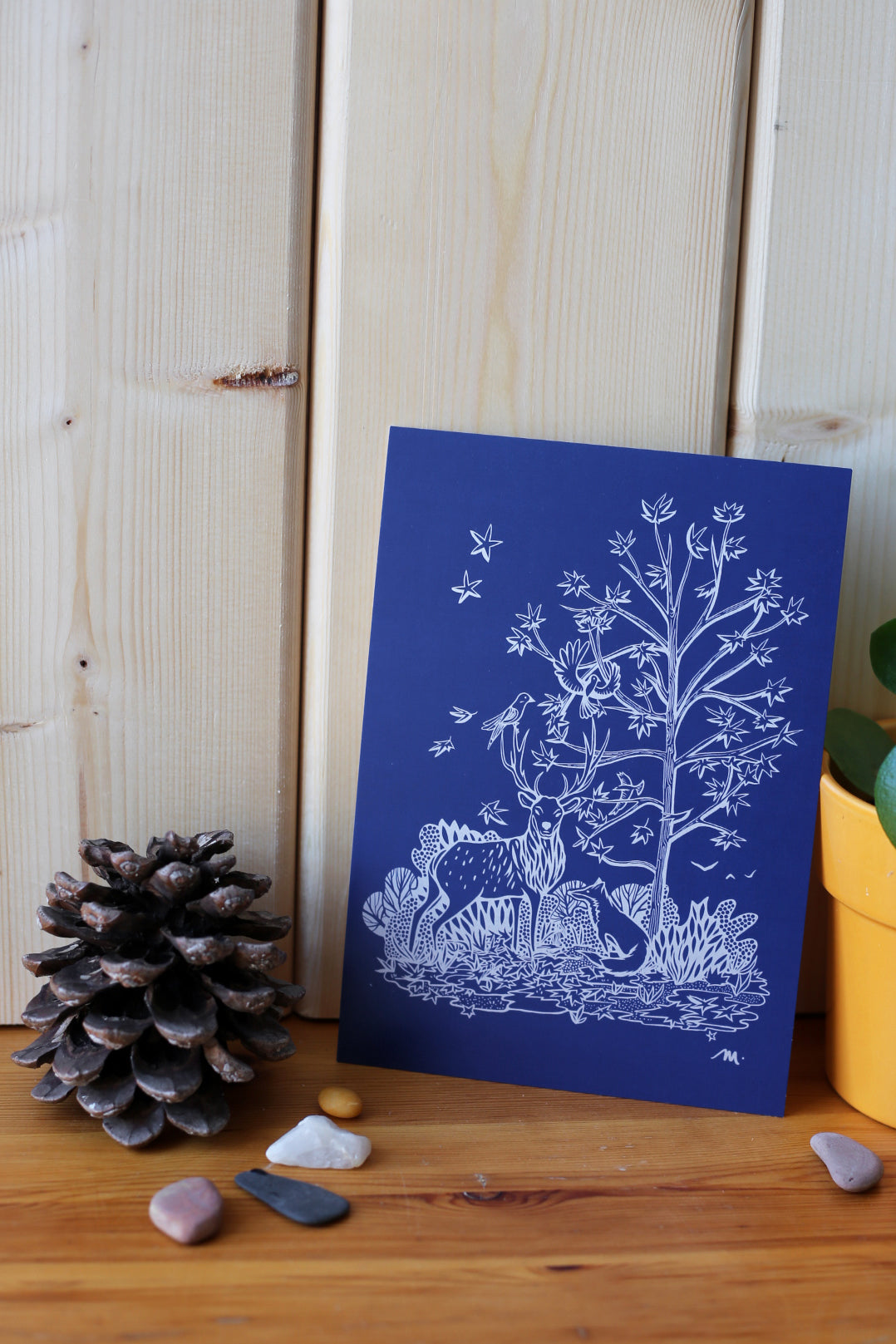Illustration SILVER "Forêt illuminée"