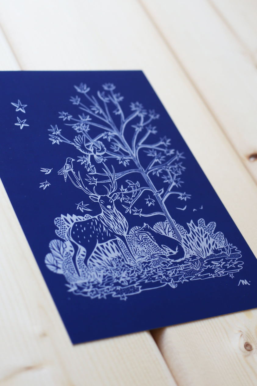 Illustration SILVER "Forêt illuminée"